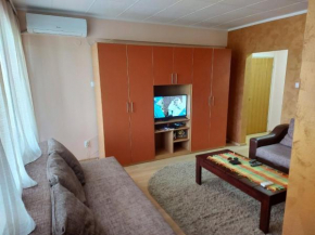 VRNJACKA BANJA STAN U CENTRU 0 6 9 1 2 9 9 9 0 2 zvati pre rezervacije, Vrnjačka Banja